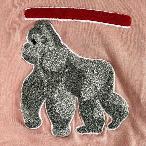 Rawgear Bradley Martyn Salmon Gorilla Medium Pullover Hoodie, Size Small. NWT! - Picture 4 of 13